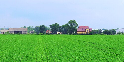 Anteny Krosna montaż