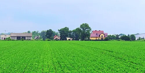 Montaż anten DVB-T w Krosnach. Anteny Krosna montaż