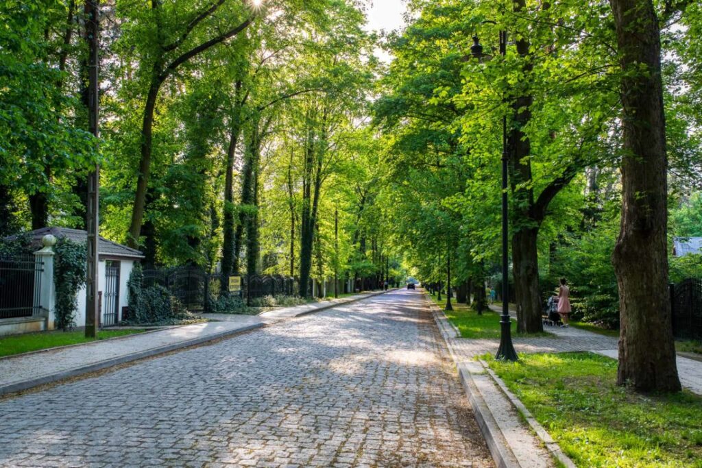 Montaż anteny Podkowa Leśna